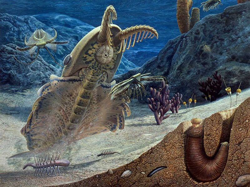 Раньше было лучше